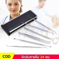 ราคา เครื่องขูดหินปูน เครื่องมือทันตกรรม ขูดหินปูน ที่ขูดหินปูน ชุดเครื่องมือทันตกรรม 6 ชิ้น เครื่องมือขูดหินปูนทำด้วยสแตนเลส (21780283626)