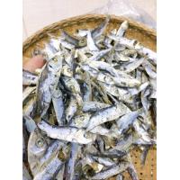 ราคา ปลาหลังเขียวตากแห้ง เค็มน้อย 1 กิโลกรัม 110 บาท (16090826787)