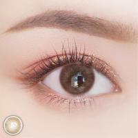 ราคา คอนแทคเลนส์ ขนาดมินิ Mini Ava Gray Brown (11409345413)