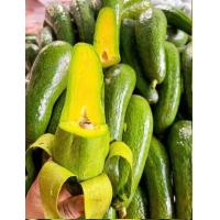 ราคา อโวคาโดพันธุ์034เวียดนาม (21827466140)