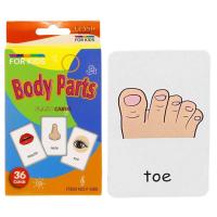 ราคา Toddler Flash Cards 36PCS Educational Body Parts Sight Word Visual Games Preschool Body Parts Educational Flash Cards Montessori Visual Toys for Babies grand (17834559785)