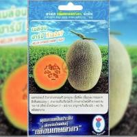 ราคา เมล็ดพันธุ์ เมล่อน ฮาร์มี ทีเอ247 ตราเพื่อนเกษตรกร (19510468625)