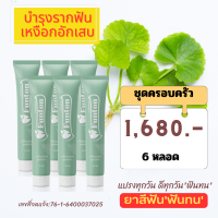 ราคา ยาสีฟัน ฟันทน 6 หลอด ชุดครอบครัว 1680 บาท 50g แก้ปัญหา เหงือกบวม เหงือกอักเสบ ฟันโยก มีกลิ่นปาก เลือดออกตามไรฟัน (20508209038)
