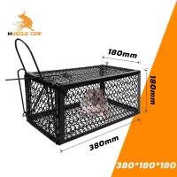 ราคา กรงดักหนูสปริง2ตัวโครงหนา กรงดักหนู ที่ดักหนู กับดักหนู กรงดักหนูแบบมีโครง กับดักหนูต่อเนื่อง กรงดักหนู สปริงคู่ กรงดักหนูนา กรงดักหนูเล็ก (19521877140)