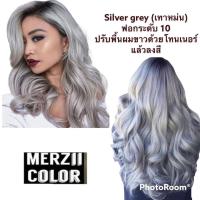 ราคา Silver grey สีผมสีเทาอ่อน merzii color ในเซตมีแค่สี ทรีทเม้นท์เปลี่ยนสีผม (8135841418)