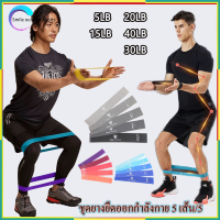ราคา TPE ยางยืดชุด 5เส้น ยาง ยืด ออกกําลังกาย ยางออกกำลังกายขา ยางยืดวงแหวน ชุด 5เส้น เชือกออกกําลังกาย สายยืดออกกําลังกายแขน พร้อมส่ง (21788913585)