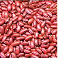 ราคา Rajma red kidney beans 500g from India (17549770897)