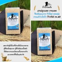 ราคา แพค1กก ข้าวกล้อง กข43 ข้าวกล้องกข43 ข้าวกล้องกข43แท้ น้ำตาลต่ำ ย่อยช้า อิ่มนาน (2646762890)