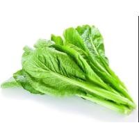ราคา 1000 เมล็ด ผักชุนฉ่าย ผักโขมจีน ชุนฉ่าย จุงฉ่าย จับฉ่าย เมล็ดผัก ปลอดสาร Garden Vegetables Seeds (21817209392)
