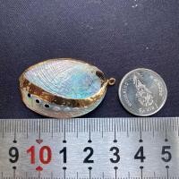 ราคา จี้เปลือกหอยสังข์ธรรมชาติ จี้หอยชุบทอง seashells pendant gold plated pendant (21566984264)