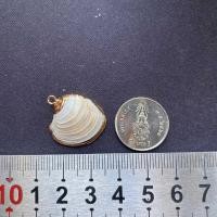 ราคา จี้เปลือกหอยสังข์ธรรมชาติ จี้หอยชุบทอง seashells pendant gold plated pendant (21566793856)