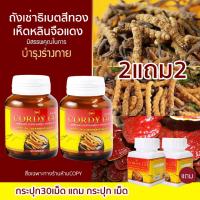 ราคา ของแท้ Cordy go ถั่งเช่าสีทอง ผสม เห็ดหลินจือแดง ถังเช่าธิเบต PWถังเช่า cordy (21556785111)