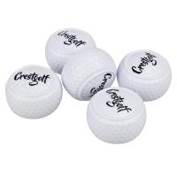 ราคา CRESTGOLF Flat Ball Golf Two Layer Putter Practice Ball Golf Flat Ball Putter Special Ball with Printed Logo (21559721672)