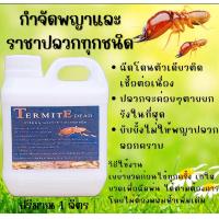 ราคา กำจัดพญาและราชาปลวกทุกชนิด ไร้สารเคมี ปลอดภัยต่อคนและสัตว์เลี้ยง ขนาด 1 ลิตร (21887510861)