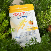 ราคา Salt Pro Chews เม็ดเคี้ยวผสมเกลือแร่ ทดแทนการสูญเสียเกลือแร่ สร้างสมดุลเกลือแร่ในร่างกาย Z21 (21877498333)