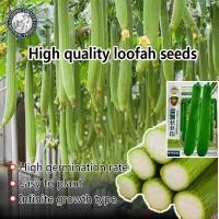 ราคา ปลูกง่าย 40เมล็ด ซอง เมล็ดพันธุ์ใยบวบยาว Long Luffa Seed Organic Vegetable Seeds เมล็ดใยบวบยาว บวบหอมยาว เมล็ดพันธุ์ผัก ผักออร์แกนิก เมล็ดบอนสี ผักสวนครัว ต้นผลไม้ บอนไซ พันธุ์ผัก เมล็ดผัก ปลูกง่าย ผล