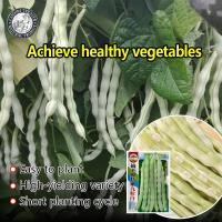 ราคา ปลูกง่าย 30เมล็ด ซอง เมล็ดพันธุ์ ถั่วแขก ถั่วพุ่ม White Kidney Bean Seeds ผลผลิตสูง ปลูกง่าย โตไว เมล็ดพันธุ์ถั่วแขก Bean Plants Seeds Vegetable Seeds เมล็ดพันธุ์แท้ OP เมล็ดพันธุ์ผัก ผักสวนครัว ผักออ