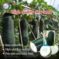 ราคา ปลูกง่าย 30เมล็ด ซอง เมล็ดพันธุ์ ฟักดำยักษ์ ฟักเขียวเปลือกดำตอปิโด Black Giant Winter Melon เมล็ดพันธุ์ฟักหอมหรือฟักป้อม กลิ่นหอมเหมือนใบเตย Giant Winter Melon Vegetable Seeds for Gardening Wax Gourd 