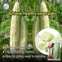 ราคา ปลูกง่าย 18เมล็ด ซอง เมล็ดมะระขาว Long White Bitter Gourd Seeds เมล็ดพันธุ์มะระจีนขาว งอกง่าย เมล็ดพันธุ์มะระ เมล็ดพันธุ์แท้ OP เมล็ดพันธุ์ผัก ผักสวนครัว บอนไซ ปลูกผัก ผักออร์แกนิก พันธุ์ผัก เมล็ดผัก 