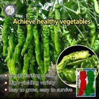 ราคา ปลูกง่าย 300เมล็ด ซอง เมล็ดพันธุ์ พริกไทยเกลียว Screw Pepper Seeds Organic Vegetable Seeds for Planting เมล็ดพันธุ์พริก เมล็ดพริก เมล็ดพันธุ์ผัก ผักออร์แกนิก เมล็ดบอนสี ผักสวนครัว ต้นผลไม้ บอนไซ พันธุ