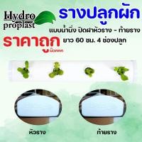 ราคา รางปลูกผักไฮโดรโปนิกส์แบบน้ำนิ่ง ยาว 60 cm 4 ช่องปลูก (21692724942)