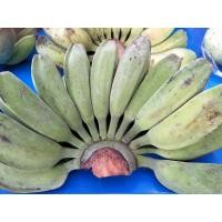 ราคา กล้วยหินแก่ เขียว (21683158072)