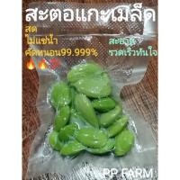 ราคา สะตอ สะตอแกะเม็ด พร้อมส่ง สะตอแกะเม็ดสด สะตอข้าวแกะเมล็ด คัดหนอนออก95 สด หวาน กรอบ (21039226339)