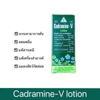 ราคา cadramine v คาดราไม วี คาลาไมน์ (21830878868)