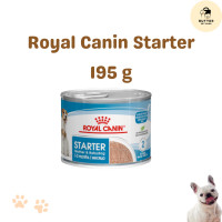 ราคา Royal Canin Starter Mousse Stage 2 อาหารเปียกโรยัล คานิน สำหรับ แม่สุนัข และลูกสุนัข exp 07 2025 (21615976850)