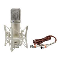 ราคา HILABEE Condenser Microphone High Performance Computer Condenser Mic for Vocals Music Production Gaming Podcasting (20769866895)