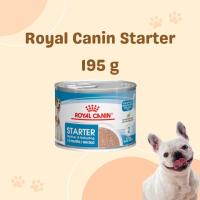 ราคา Royal Canin Starter Mousse Stage 2 อาหารเปียกโรยัล คานิน สำหรับ แม่สุนัข และลูกสุนัขหย่านม อายุ 1 2 เดือน exp 07 2025 (21592949965)