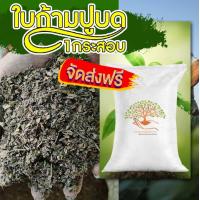 ราคา ใบก้ามปูแห้งบด100 ใบก้ามปูแห้งใบก้ามปู 1 กระสอบ 5kg (21408876869)