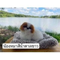 ราคา ตุ๊กตาดูดกลิ่นอับ น้องหมาดับกลิ่นอับ ตุ๊กตาดูดกลิ่นคาร์บอน ที่ดูดกลิ่นอับในรถยนต์ (17935391896)