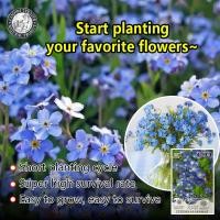 ราคา ปลูกง่าย 10เมล็ด ซอง เมล็ดพันธุ์ อย่าลืมฉัน Forget me not Seed Blue Flower Seeds for Planting Ornamental Flowering Plants Seeds Garden Home Decor โตไว ดอกดกสวย แต่งบ้านและสวน เมล็ดบอนสี ทนแล้งให้ผลผลิ