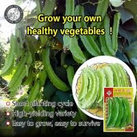 ราคา ปลูกง่าย 10เมล็ด ซอง เมล็ดพันธุ์ ถั่วพู Winged Bean Seeds ผลผลิตสูง คุณภาพดี ราคาถูก ของแท้ 100 เมล็ดพันธุ์ถั่วพู เมล็ดพันธุ์ ถั่วพูยักษ์ถั่วพูยาว เมล็ดพันธุ์แท้ OP เมล็ดพันธุ์ผัก ผักสวนครัว ผักออร์แก