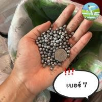 ราคา ลูกตะกั่ว ขายเป็นกิโล เบอร์ 1 8 ตะกั่วนก ตะกั่วหนู ตะกั่วเม็ด ตะกั่ว (21447095041)