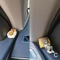 ราคา Tom And Jerry Car Decoration Cute Book Tabletop Hand Doll Ornament I5Z8 (20805795371)