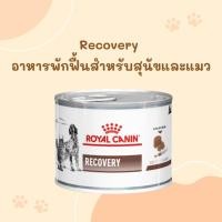 ราคา Royal Canin Recovery โรยัลคานิน รีคอฟเวอรี่ อาหารสุนัขและแมวประกอบการรักษา สำหรับระยะพักฟื้นและการดูแลหลังผ่าตัด ชนิดเปียก RECOVERY exp 03 2025 (20230841769)