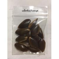 ราคา เมล็ดพันธุ์ต้นละมุด ละมุด ต้นละมุด organic (1602826883)