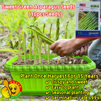ราคา ผลผลิตสูง โตไว ทานอร่อย 10 เมล็ด เมล็ดหน่อไม้ฝรั่ง เมล็ดพันธุ์ หน่อไม้ฝรั่ง เมรี่วอชิงตัน Sweet Green Asparagus Seeds Bonsai Asparagus Vegetable Seeds Asparagus Plants หน่อไม้ฝรั่ง เมล็ดผักสวนครัว เมล