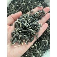ราคา เมล็ดต้นอ่อนทานตะวัน ลายไทย ปี67 500g (21484399512)