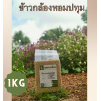 ราคา ข้าวหอมปทุม ขนาด 1 กิโล ชนิดกล้อง ขาว ข้าวออแกนิก100 ข้าวใหม่สีข้าวได้ทุกวัน จากเกษตรกรบ้านหน้าวัง พัทลุง (18891727241)