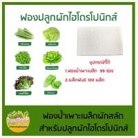 ราคา ฟองน้ำและเมล็ดพันธุ์ผักสลัด ปลูกผักไฮโดรโปนิกส์ 96 ช่อง (8318212871)