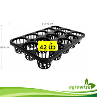 ราคา กระถาง ถาดหลุม ใส่กระถางต้นไม้ ขนาด 3 นิ้ว 15 หลุม สีดำ (21401638365)