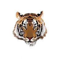 ราคา ตัวรีดติดลายเสื้อ TK 37 ลายเสือ หน้าเสือ ลายติดเสื้อ เท่ห์ๆๆ แผ๋นฟิล์มรีดร้อน (19939604399)