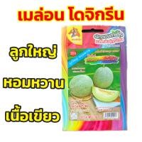 ราคา เมล็ดพันธุ์ เมล่อน โดจิกรีน ลูกใหญ่ หอมหวาน 12 เมล็ด เมล่อนตาข่ายเนื้อเขียว ตราม้ารุ้ง (21842012062)