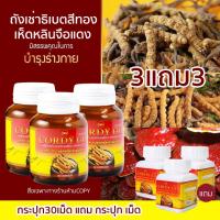 ราคา ของแท้ Cordy go ถั่งเช่าสีทอง ผสม เห็ดหลินจือแดง ถังเช่าธิเบต PWถังเช่า cordy (21531640767)