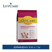 ราคา ดร เลิฟแคร์ อาหารสุนัขโตพันธุ์กลาง 9 กก (20413420950)