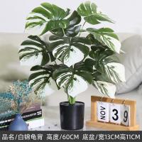 ราคา ต้นมอนสเตอร่าปลอม ต้นไม้ปลอม Artificial Tree ต้นไม้ประดิษฐ์ มอนสเตอร่าใบด่าง ไม้มงคลเรียกทรัพย์ ของตกแต่ง THAILUCKY (21908658164)