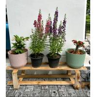 ราคา ชั้นวางกระถางต้นไม้ ที่วางกระถาง ต้นไม้ ไม้สักพร้อมส่ง (21403484642)